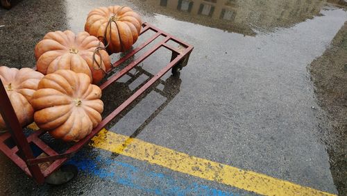 High angle view of pumpkins on street