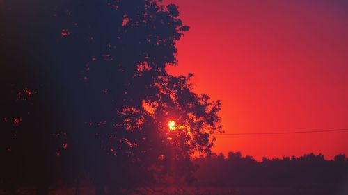 Low angle view of silhouette trees against orange sky