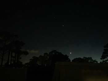 Trees against sky at night