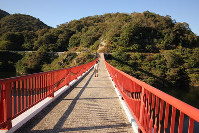 View of mountain road