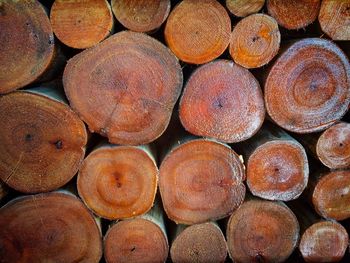 Full frame shot of logs