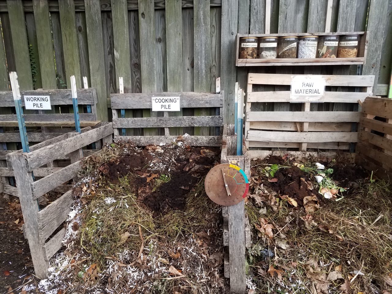 HIGH ANGLE VIEW OF PLANTS GROWING ON FIELD