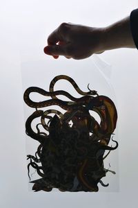 Close-up of hand holding sculpture against white background