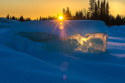 Scenic view of snow covered trees against sky during sunset