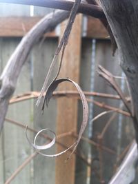 Close-up of rusty chain hanging on metal fence