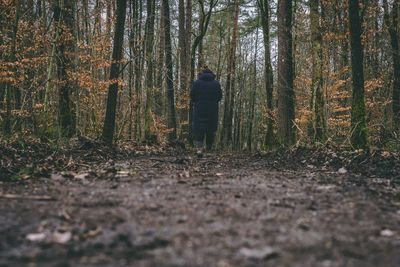 Rear view of man walking in forest