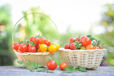 Close-up of tomatoes in basket