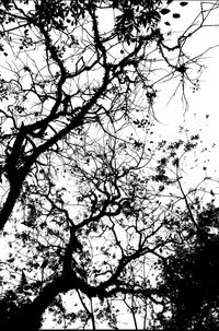 Low angle view of bare trees against sky