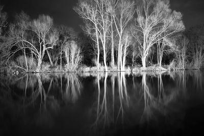 Reflection of trees in lake at night