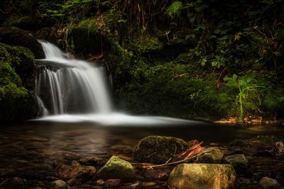 View of waterfall in forest