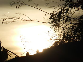 Low angle view of silhouette trees against sky at sunset