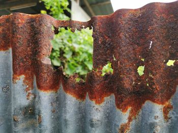 Close-up of rusty metal