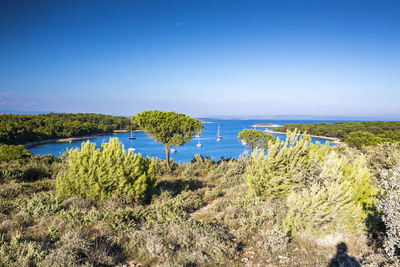 Scenic view of sea against clear blue sky