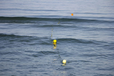 Person paragliding in sea