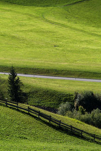 Scenic view of grassy field in sunlight