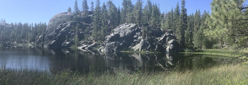 Scenic view of lake in forest against sky