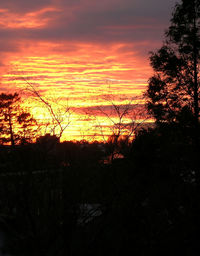 Silhouette trees against dramatic sky during sunset