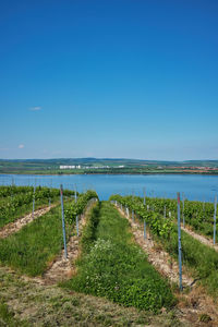 Scenic view of land against clear blue sky