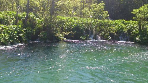 Scenic view of waterfall