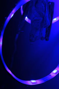 Close-up of a window