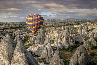 Low angle view of hot air balloons