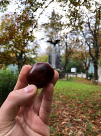 Person holding ice cream cone against trees during autumn