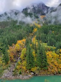 Scenic view of forest against sky during autumn