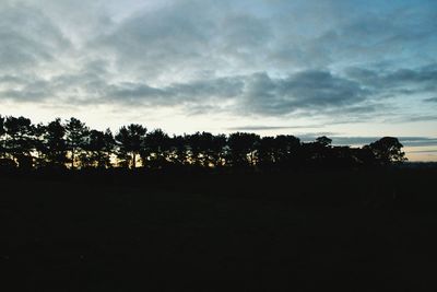 Silhouette of trees on landscape at sunset