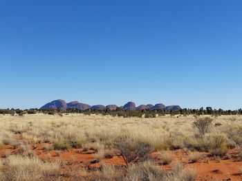 Scenic view of field against clear blue sky