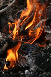 Close-up of bonfire at night