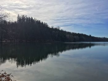 Scenic view of lake in forest against sky