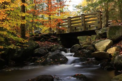 Scenic view of waterfall in forest during autumn