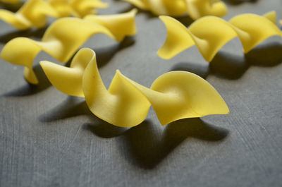 Macro close up of dry uncooked egg noodles