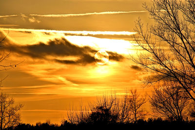 Low angle view of silhouette trees against sky during sunset