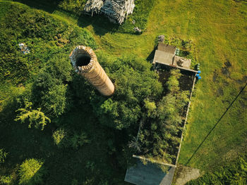 High angle view of man amidst trees on field