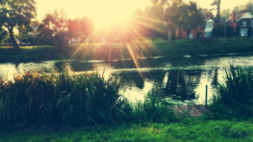 Sun shining over pond in park