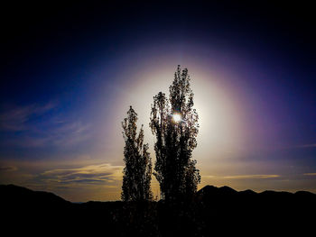 Low angle view of silhouette tree against sky during sunset