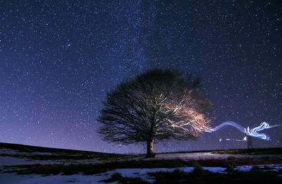 Scenic view of tree under starry sky