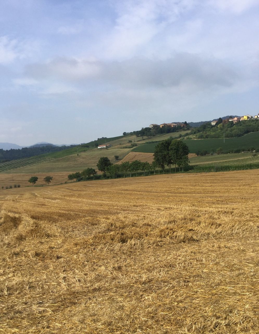 landscape, nature, field, no people, agriculture, tranquility, scenics, sky, beauty in nature, day, outdoors