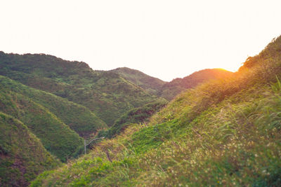 Scenic view of landscape against clear sky