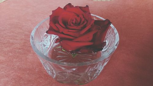 Close-up of red rose on table