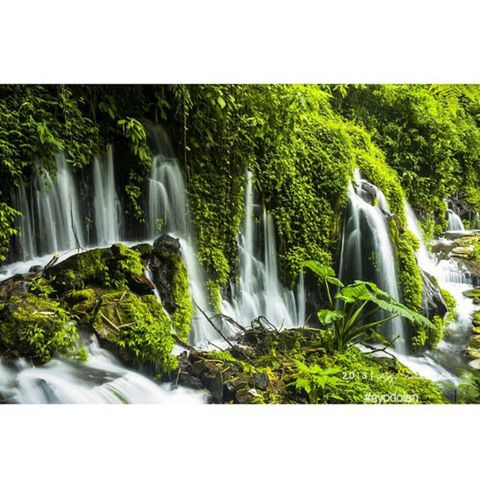 waterfall, motion, water, flowing water, long exposure, tree, flowing, beauty in nature, scenics, transfer print, green color, nature, plant, forest, growth, environment, auto post production filter, blurred motion, outdoors, rock - object