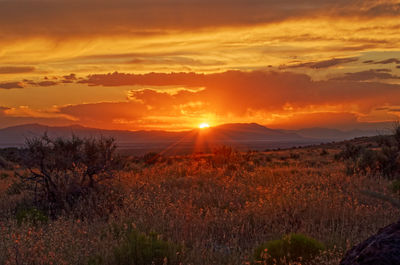 Scenic view of field against sky during sunset