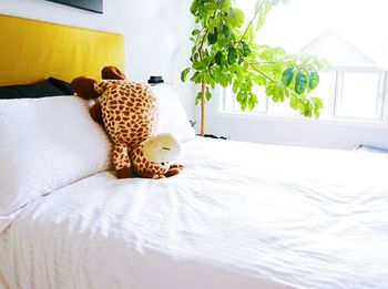 Close-up of blanket on bed at home