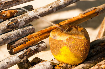 Close-up of straw in coconut on wooden structure