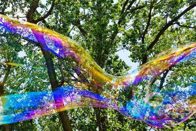 Low angle view of rainbow in park against sky