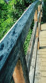 Trees growing on wooden wall