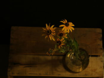 Close-up of yellow flowers in vase