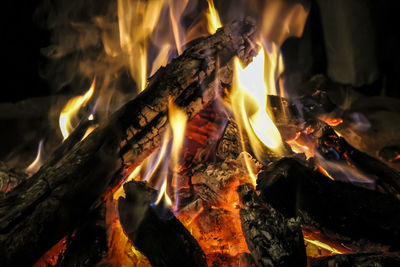 Close-up of bonfire at night