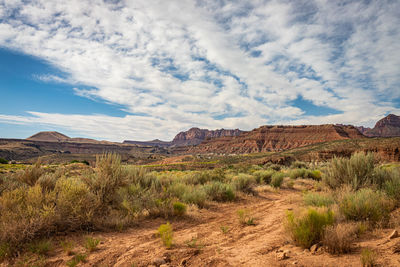 Scenic view of landscape against sky